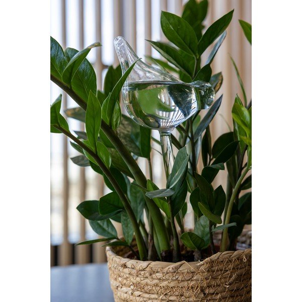 Üveg öntözőgömb 197 ml – Esschert Design-image-1