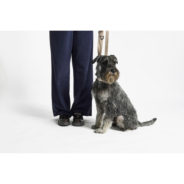 Bézs nyakörv M/L hosszúság 35 cm Modena Greige M/ML – MiaCara-image-2