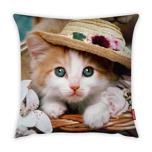 Cute Kitten párnahuzat, 43 x 43 cm - Vitaus