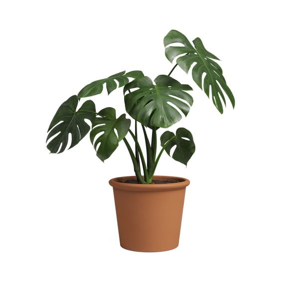 Terrakotta virágcserép ø 39 cm Saramago Cilindro – Artevasi-image-3