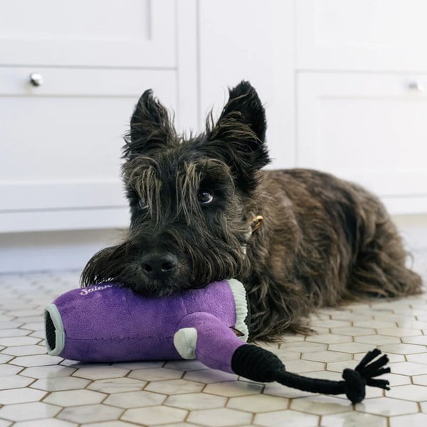 Hajszárító kutyajáték – P.L.A.Y.-image-1