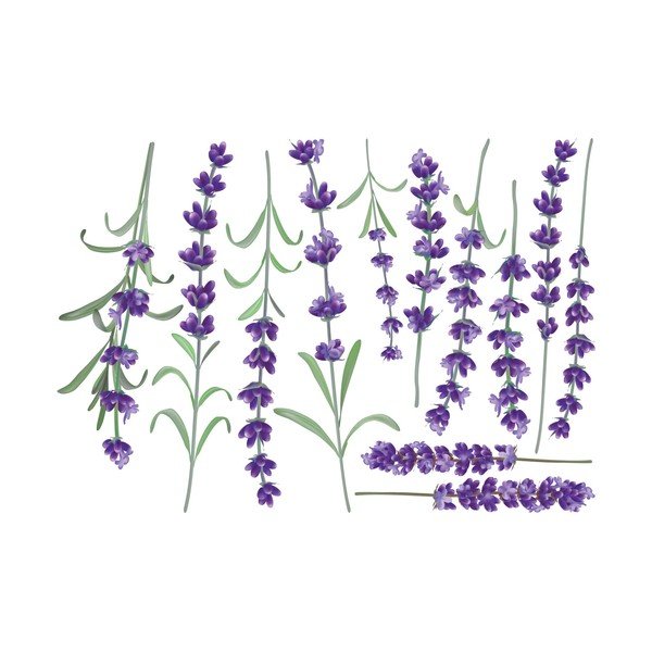 Levanders falmatrica szett - Ambiance-image-2