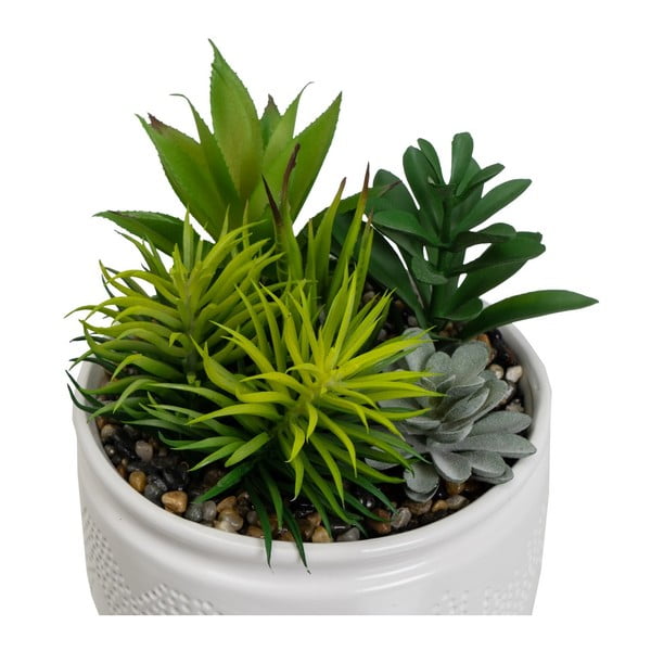 Műnövény szett 2 db-os (magasság 19 cm) Cactus – Casa Selección-image-2