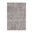 Szürke szőnyeg 80x120 cm Terrain – Hanse Home