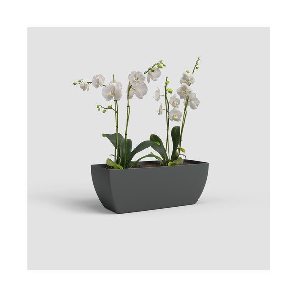 Újrahasznosított műanyag láda 30 cm Siena – Artevasi-image-3