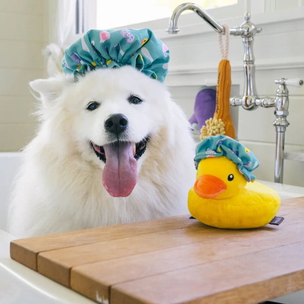 Fürdősapka kutyajáték – P.L.A.Y.-image-1