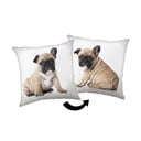 Gyerek párna 40x40 cm Bulldog – Jerry Fabrics