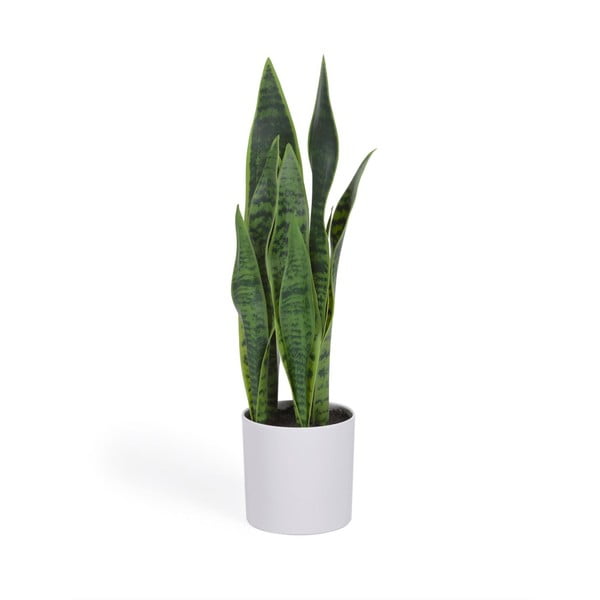 Műnövény (magasság 55 cm) Sansevieria – Kave Home