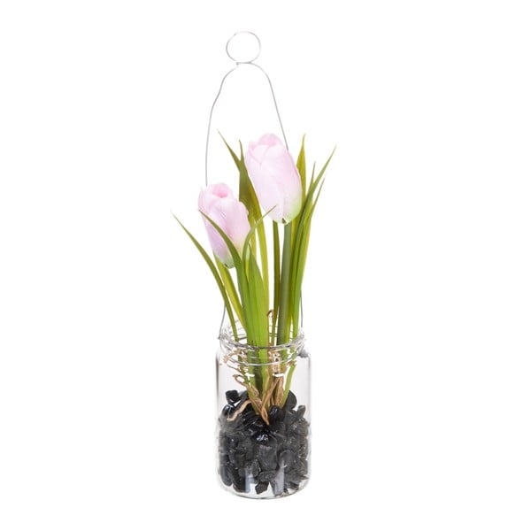 Művirág (magasság 18 cm) Tulip – Ixia