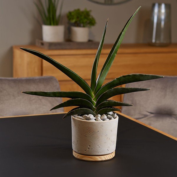 Szürke kerámiakaspó, ø 16 cm - Big pots-image-1