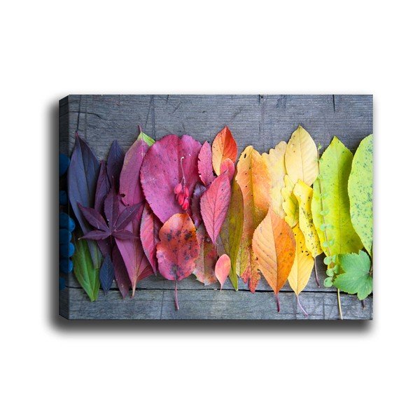 Gradient Leaves kép, 70 x 50 cm - Tablo Center