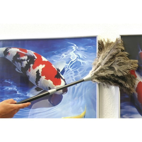 Portörlő - Maximex-image-3