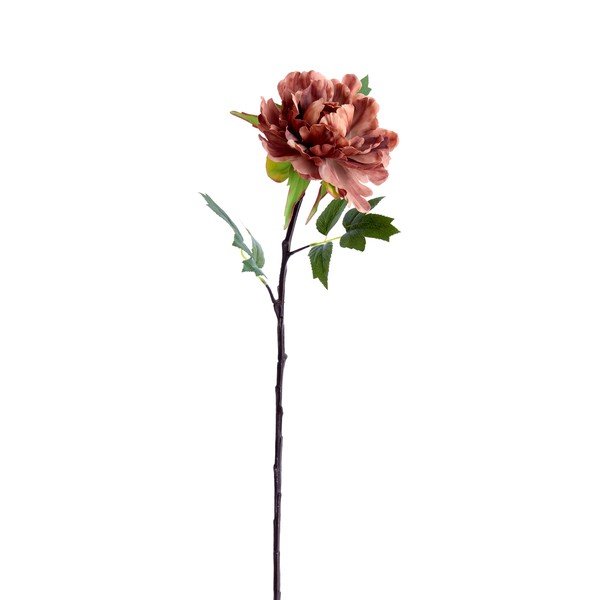 Művirág (magasság 65 cm) Peonia – Light & Living