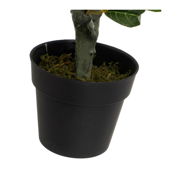 Olajfa műnövény – Casa Selección-image-3