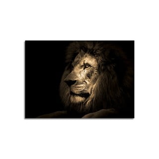 Üveg kép 70x100 cm Lion - Styler