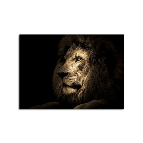 Üveg kép 70x100 cm Lion - Styler