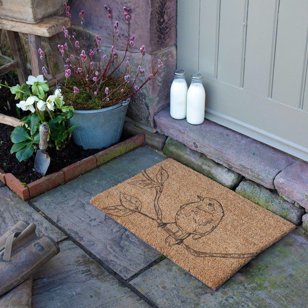 Kókuszrost lábtörlő 40x60 cm Pencil Robin – Artsy Doormats-image-3