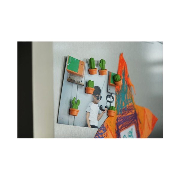 Cacnet 6 db mágnes - Qualy&CO-image-2