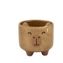 Kőedény kézzel festett kaspó ø 7,5 cm Mojave Capybara – Sass & Belle
