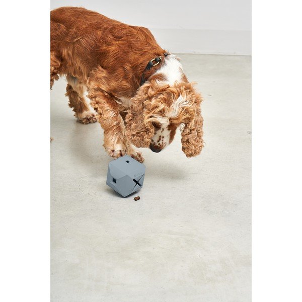 Kutyajáték Dado Sky – MiaCara-image-3