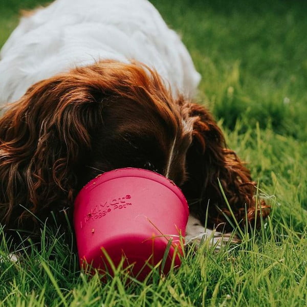 Habzsolásgátló tál Yoggie Pot Pink – LickiMat-image-1