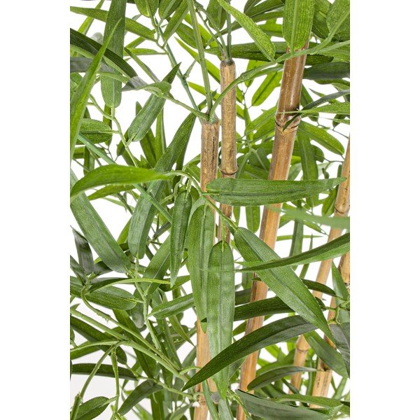Bambusz műnövény (magasság 155 cm) Bamboo – Bizzotto-image-1