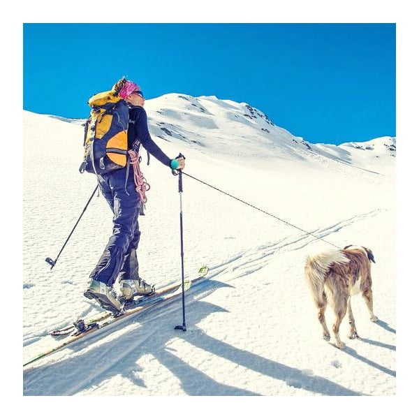 Kék póráz M 3 Bungee – Lishinu-image-3