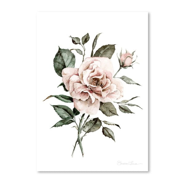 Faded Pink Rose by Shealeen Louise 30 x 42 cm-es plakát
