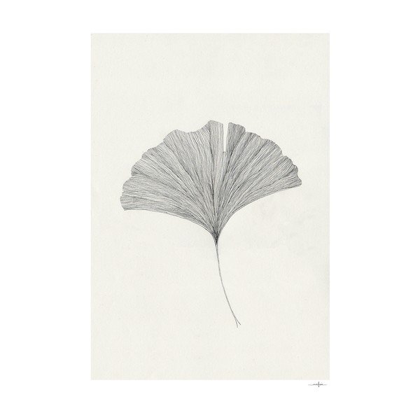 Poszter 50x70 cm Ginkgo Leaf – Ana Frois – The Poster Club