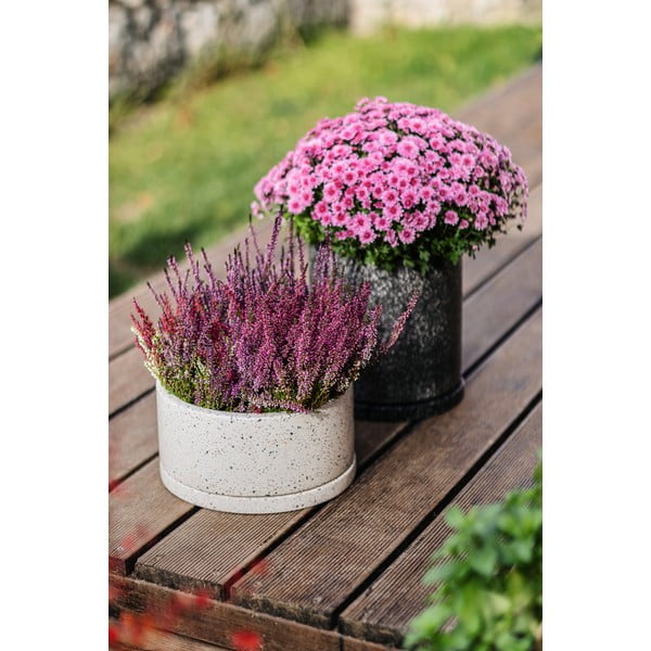 Terrazzo sötétszürke virágcserép, ø 34 cm - Bonami Selection-image-1