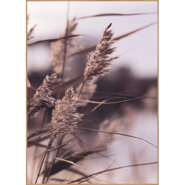 Keretezett poszter 50x70 cm Mellow Grasses 3 – Malerifabrikken