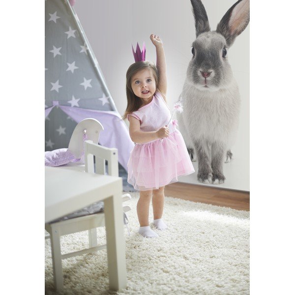 Rabbit Harry falmatrica, 53 x 115 cm - Dekornik-image-3