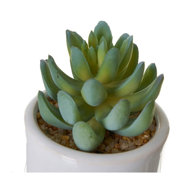 Művirág szett 4 db-os Cactus – Casa Selección-image-2