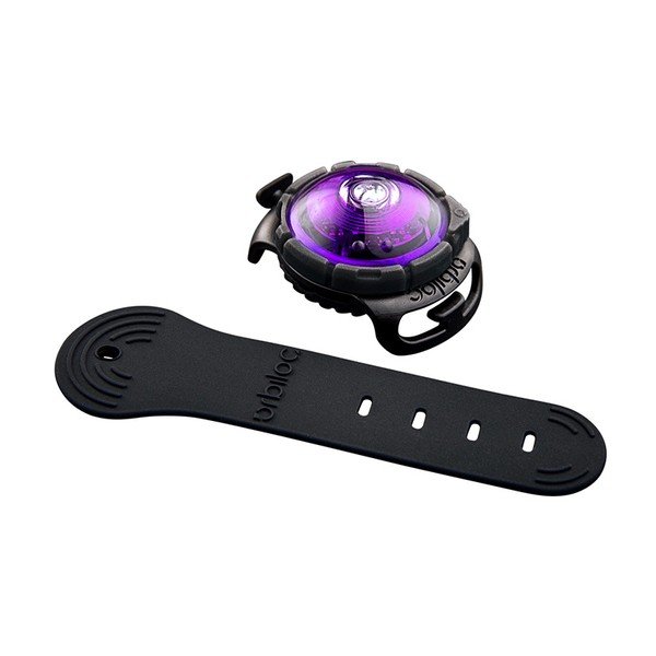 LED fény nyakörvre Purple - Orbiloc-image-1