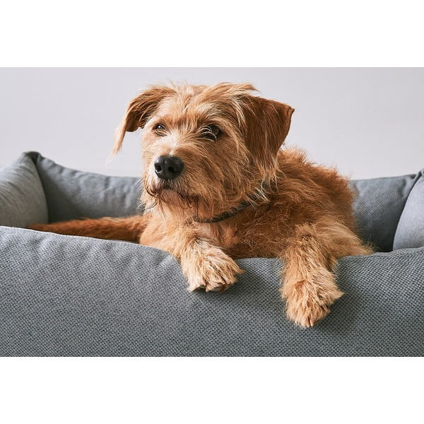 Barna fekhely kutyáknak 93x120 cm Mare Kelp L – MiaCara-image-2