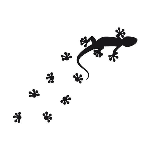Lizard falmatrica - Ambiance-image-1