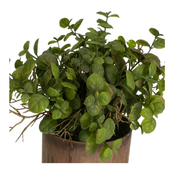 Műnövény szett 2 db-os (magasság 22 cm) – Casa Selección-image-1