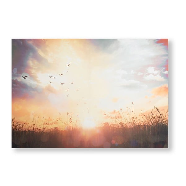Serene Sunset Meadow kép, 100 x 70 cm - Graham & Brown