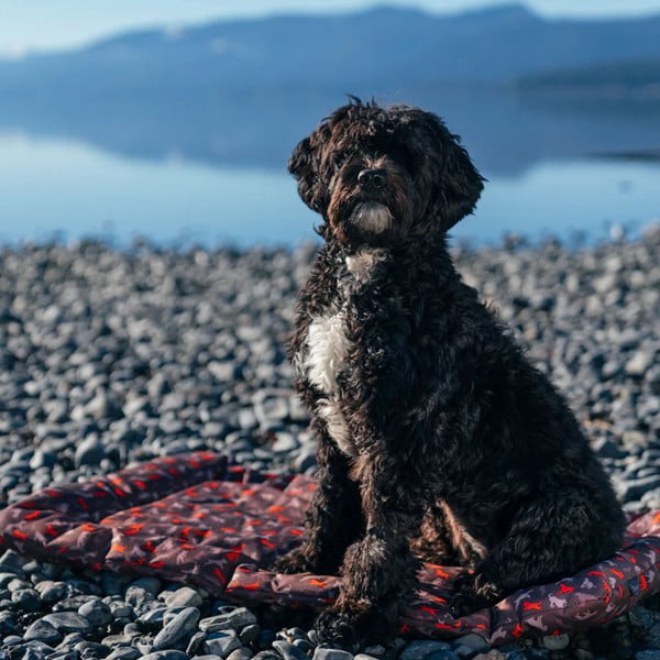 Barna utazó fekhely kutyáknak 50x75 cm Outdoor Chill Pad Mocha M – P.L.A.Y.-image-4