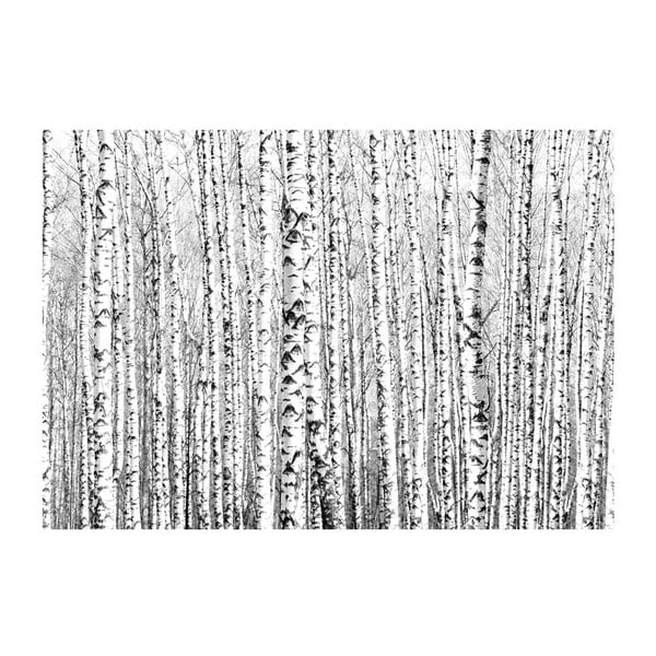 Birch Forest nagyméretű tapéta, 400 x 280 cm - Artgeist