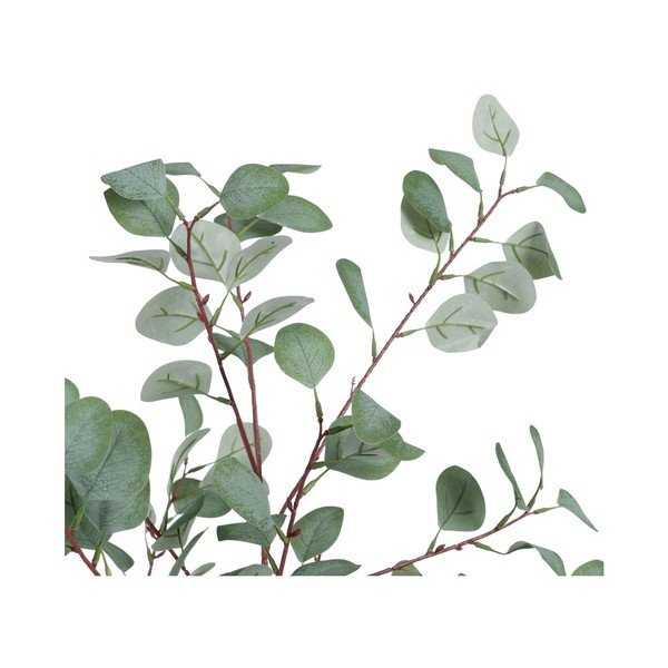 Eukaliptusz műnövény (magasság 180 cm) Eucalyptus – Ixia-image-2