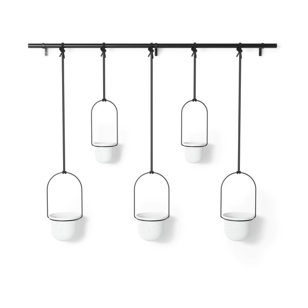 Műanyag függő kaspó szett fűszernövényekhez, 5 db-os  ø 7,5 cm Triflora – Umbra