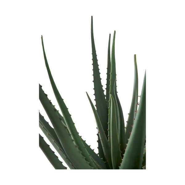 Műnövény (magasság 51 cm) Aloe Vera – House Nordic-image-3