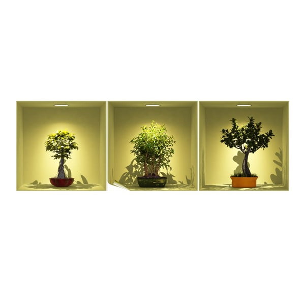 Bonsai Trees On Spot 3 db-os 3D hatású falmatrica szett - Ambiance-image-1