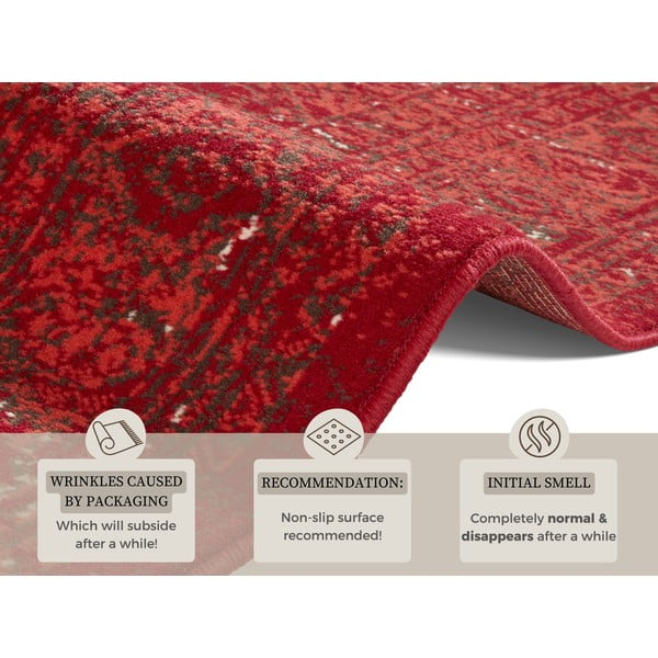 Celebration Plume piros szőnyeg, 120 x 170 cm - Hanse Home-image-4