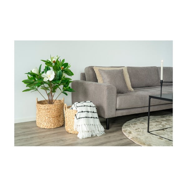 Vízijácint tárolókosár szett 2 db-os ø 35x37 cm Passo – House Nordic-image-1