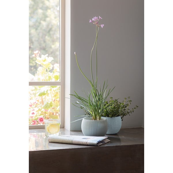 Műanyag virágcserép készlet 3 db-os ø 15 cm Cozy – Keter-image-3