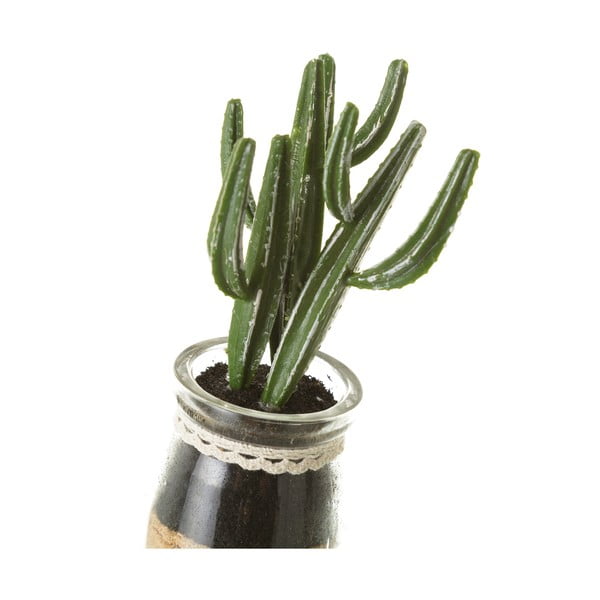 Műnövény szett 4 db-os (magasság 18 cm) Cactus – Casa Selección-image-4