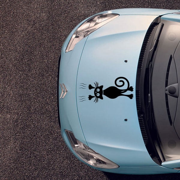 Fanastick Cat And The Door öntapadós matrica-image-1