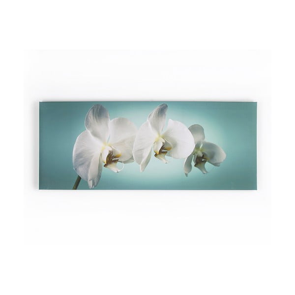 Teal Orchid kép, 100 x 40 cm - Graham & Brown